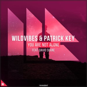 You Are Not Alone - Wildvibes & Patrick Key feat. David Shane