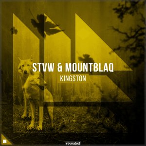 Kingston - STVW Mountblaq