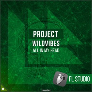 All In My Head (FL Project) - Wildvibes