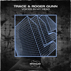 Voices in My Head - Trace Roger Gunn