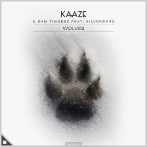 Wolves - KAAZE Sam Tinnesz feat. Silverberg