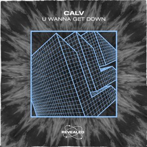 U Wanna Get Down - CALV⁠ 