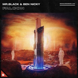 Falcon - MR.BLACK & Ben Nicky