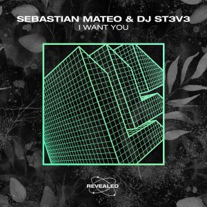 I Want You - Sebastian Mateo & DJ ST3V3