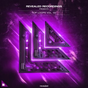 Revealed Top Loops Vol. 2 - revealedrec