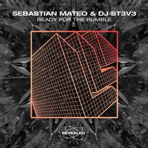 Ready For The Rumble - Sebastian Mateo & DJ ST3V3