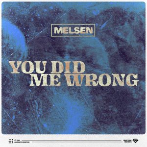 You Did Me Wrong - Melsen