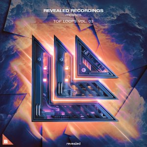Revealed Top Loops Vol. 3 - revealedrec
