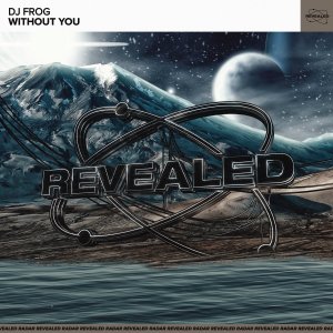 Without You - DJ Frog
