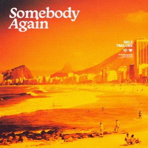 Somebody Again - Big Z & Tima Dee