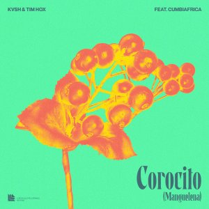 Corocito (Manguelena) - KVSH⁠ & Tim Hox⁠ feat. Cumbiafrica⁠ 