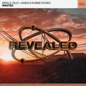 Wasted - Meikle, Riley James & Robbie Rosen