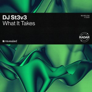 What It Takes - DJ ST3V3⁠ 