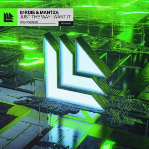 Just The Way I Want It - b1rdie & MANTZA