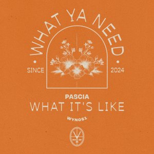 What It's Like - PASCIA⁠ 