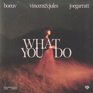 What You Do - Boeuv, Vincent & Jules feat. joegarratt