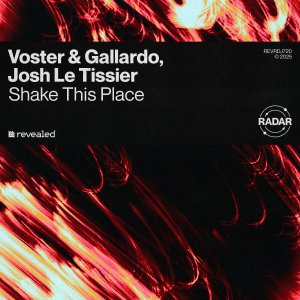 Shake This Place - Voster & Gallardo, Josh Le Tissier