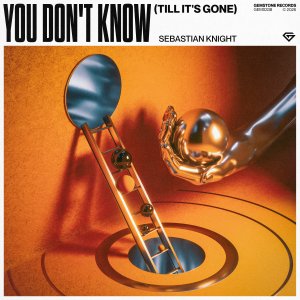 You Don't Know (Till It's Gone) - Sebastian Knight ⁠ 