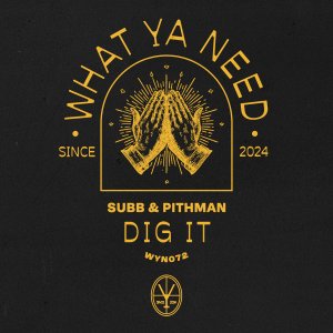 Dig It - SUBB⁠ & Pithman⁠ 